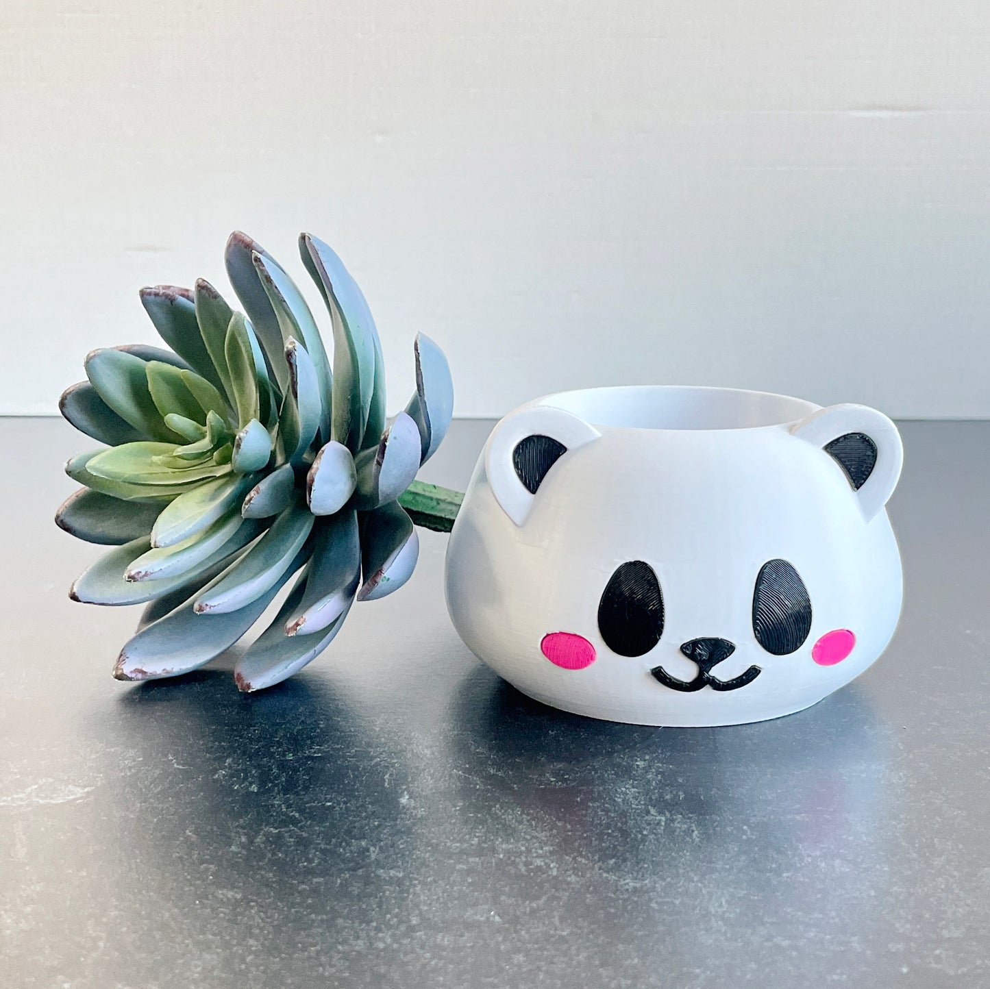 Kawaii Cat and Panda Planters