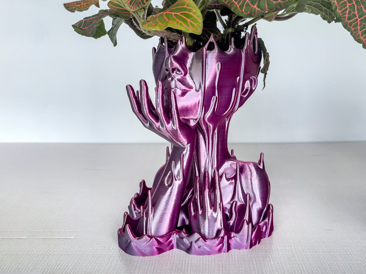 Goddess Succulent Planter & DynaMech Flower pots