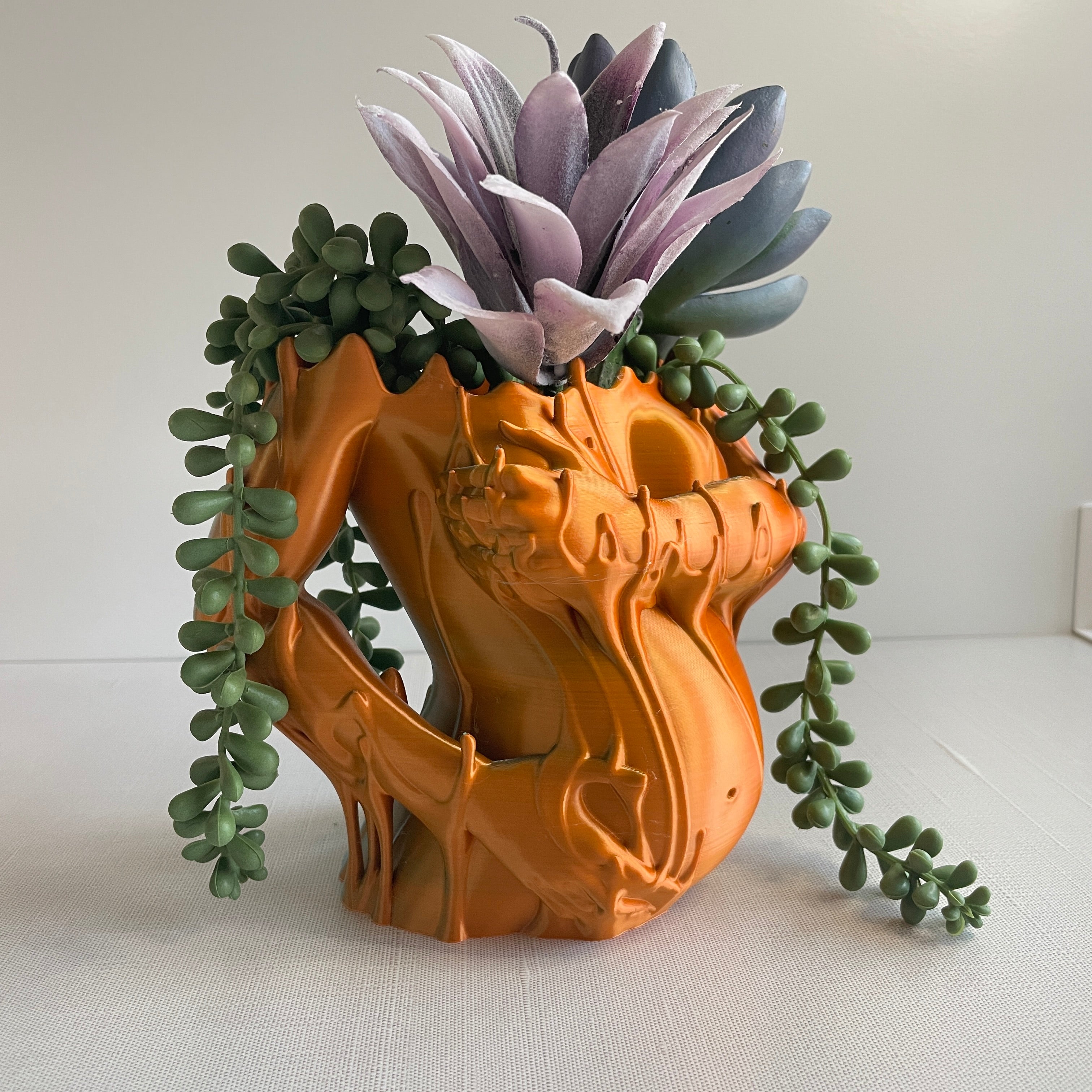 Fertility Goddess Succulent Planter. Melted Woman Plant Gift.