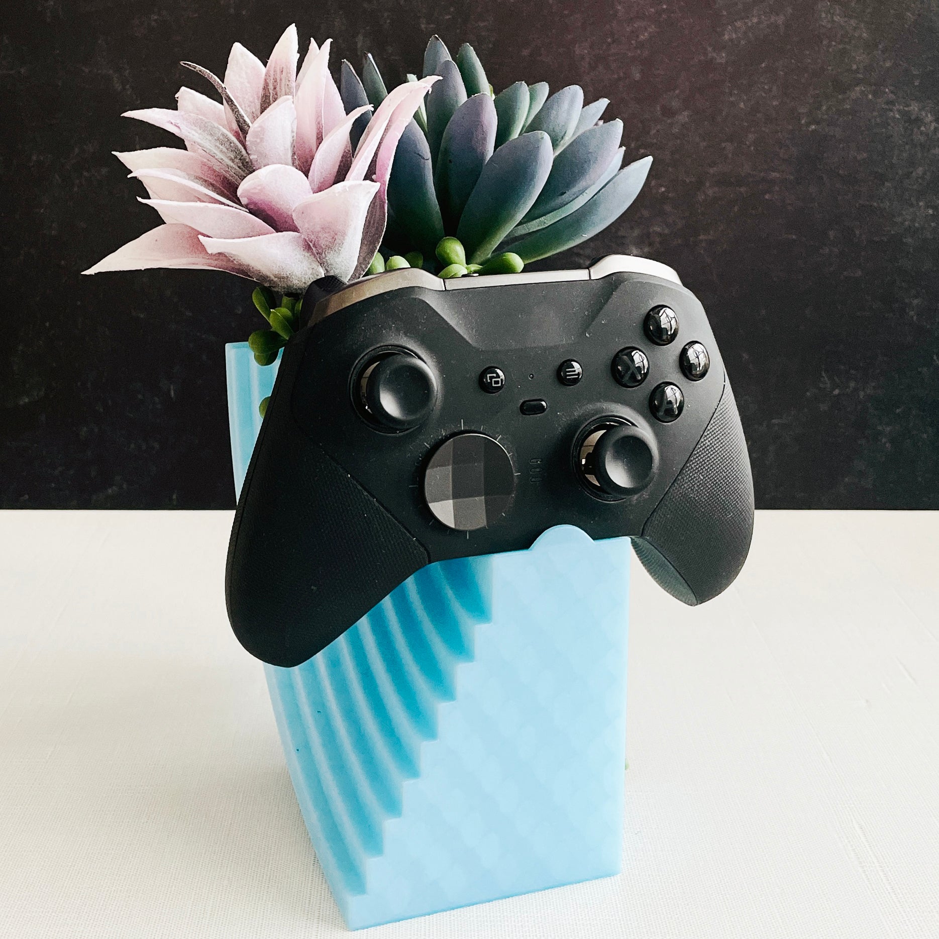 Gaming controller repurposed as a planter with succulents on a white surface.