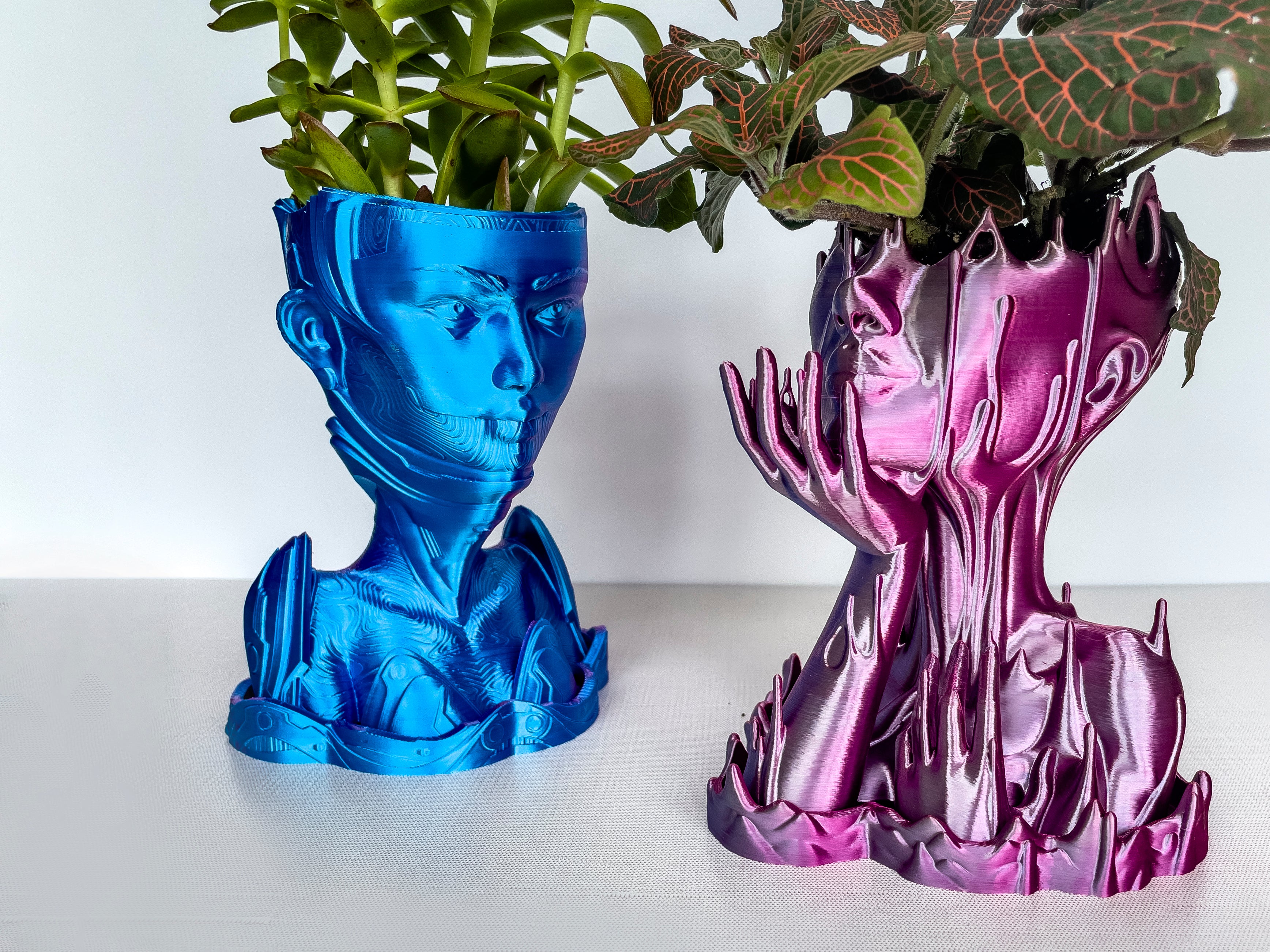 Reverse Melted Woman Succulent Planter